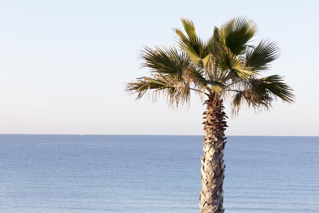 Sud Beach Hotel Fronte Mare By Ria Hotels Marina Di Pulsano Стая снимка